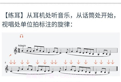 山东音协考级v1.0.16截图