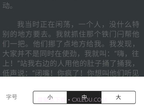 观止v1.2.23截图