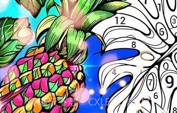 填色大师v2.5.16截图