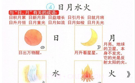 致用语文小学版v2.8.19截图