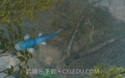 3d鱼池动态壁纸(Koi)v1.16截图
