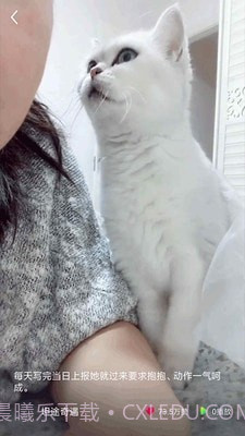猫咪小视频v1.0.23截图