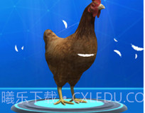 疯狂压路鸡v1.16截图