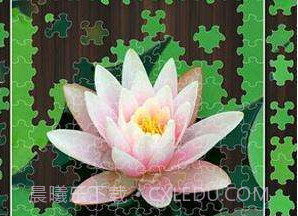 Jigty拼图游戏完整版v3.19截图