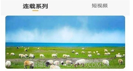 娑婆世界v1.0.25截图