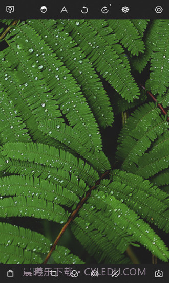 泼辣修图截图3 泼辣修图截图3