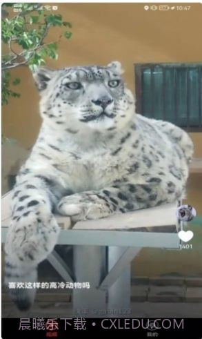 宠物趣看截图4 宠物趣看截图4