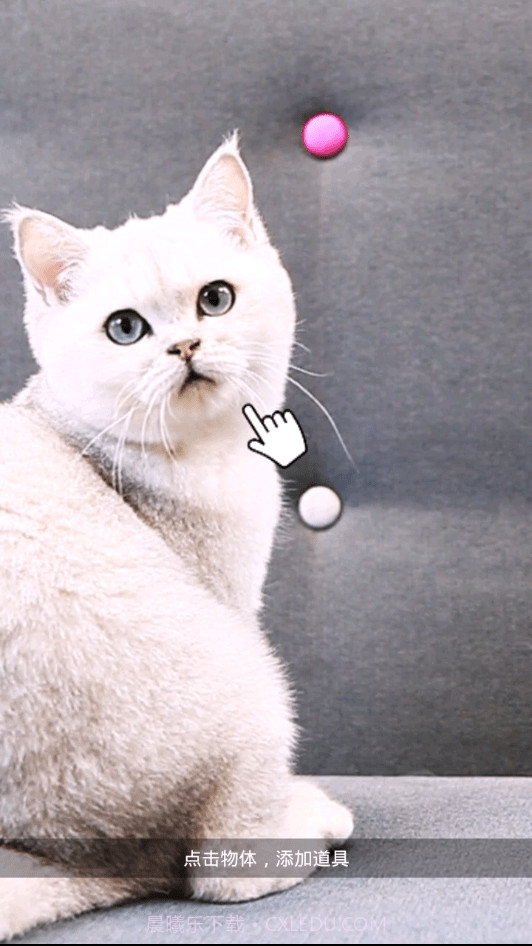 相机潮自拍截图3 相机潮自拍截图3