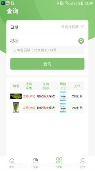 看叶识熟截图3 看叶识熟截图3