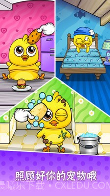 我的宠物小黄鸡截图3 我的宠物小黄鸡截图3