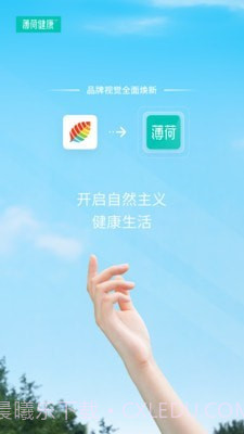 薄荷减肥截图1