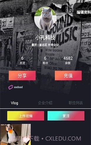 vlogpin招聘截图4
