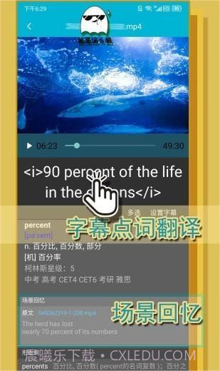 单词播放器截图1 单词播放器截图1