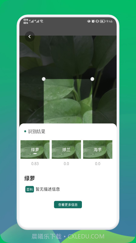 小园丁截图2 小园丁截图2