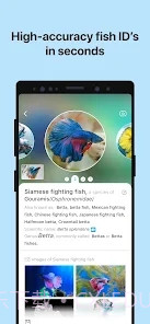 Picture Fish鱼类识别截图5