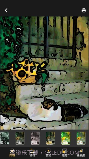 DiDiCam截图2 DiDiCam截图2