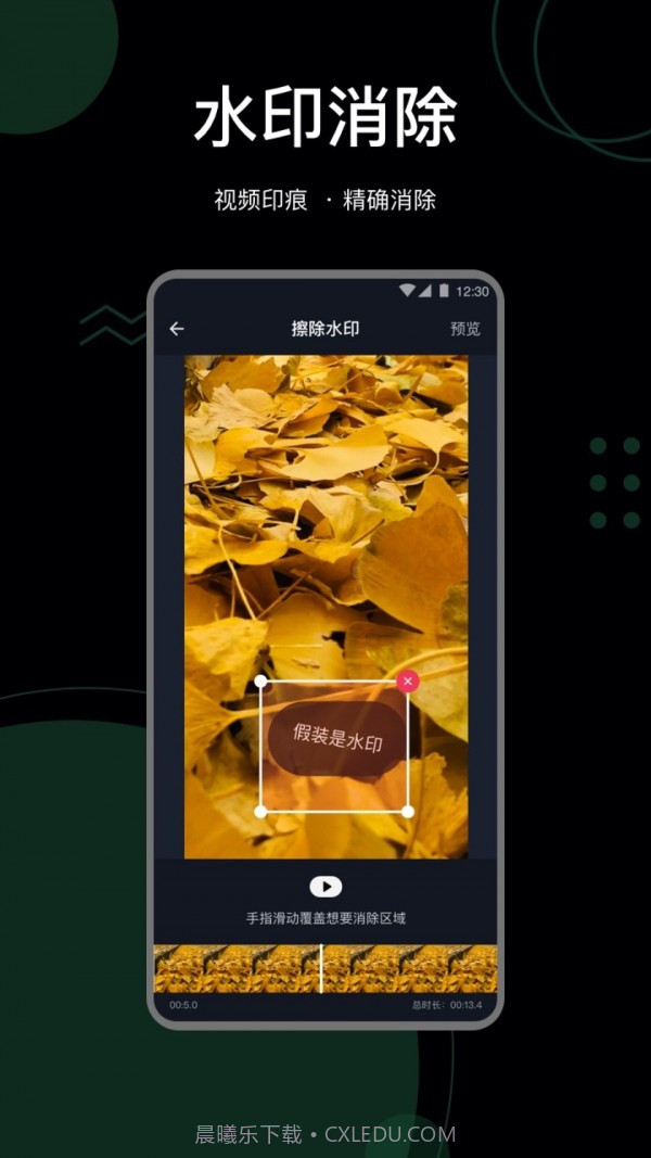 抖快去水印助手截图2