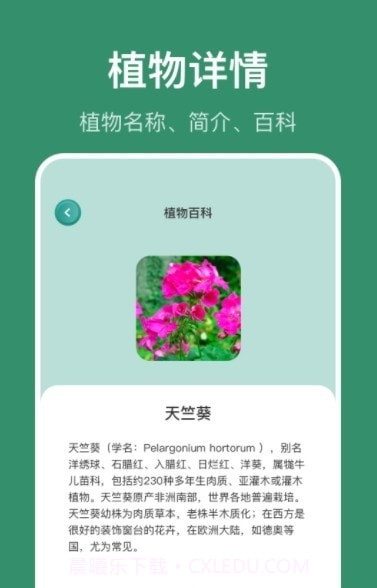 花仙识花草截图1 花仙识花草截图1