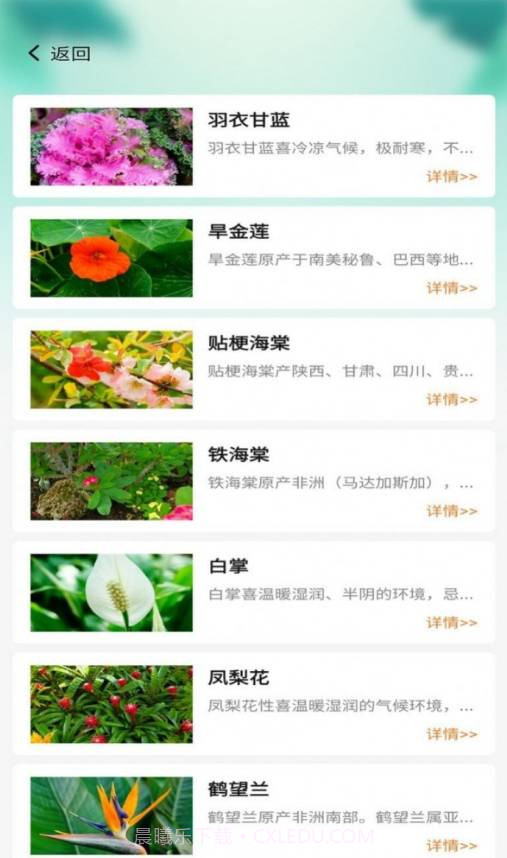 百草万象园截图4 百草万象园截图4