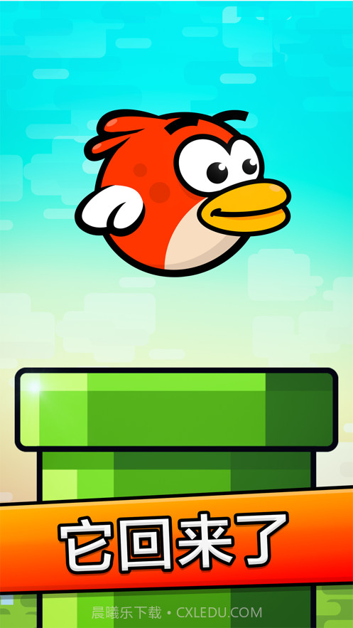 丛林小飞鸟截图1