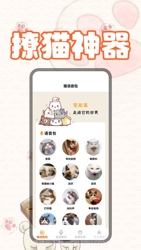 喵星人截图2 喵星人截图2