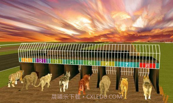 疯狂的丛林动物竞速截图2