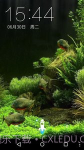 3D食人鱼:梦象动态壁纸截图4 3D食人鱼:梦象动态壁纸截图4