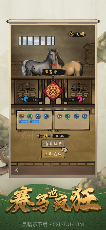 赛马也疯狂截图4