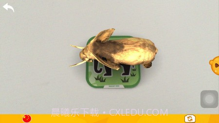 口袋动物园2截图2 口袋动物园2截图2