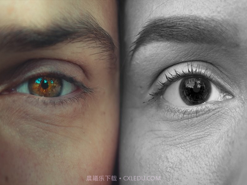 黑白照片编辑器截图2