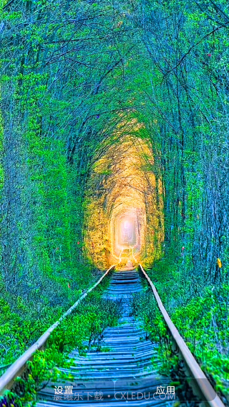 爱动态壁纸截图4