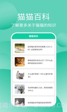 猫猫交流工具截图4