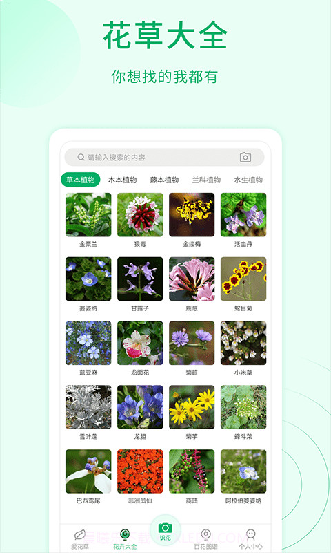 花草识别截图4 花草识别截图4