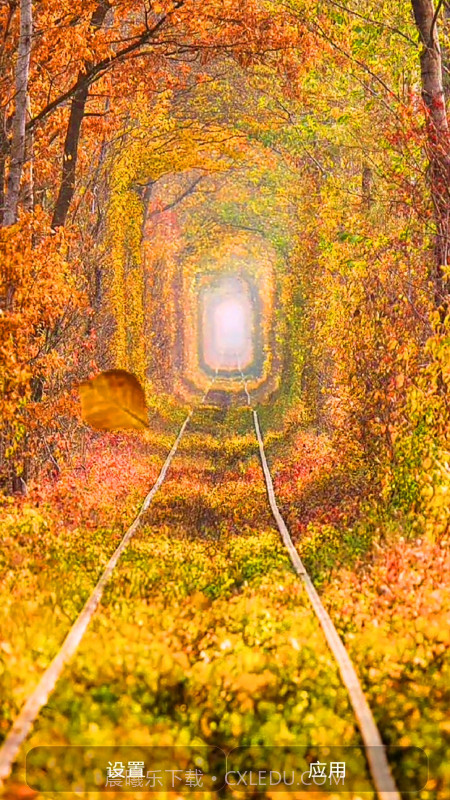 爱动态壁纸截图3