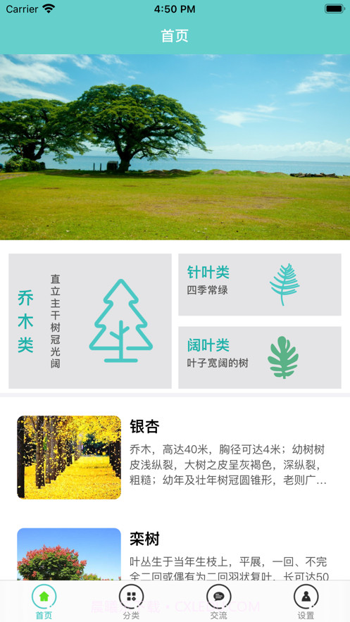 知树截图1 知树截图1