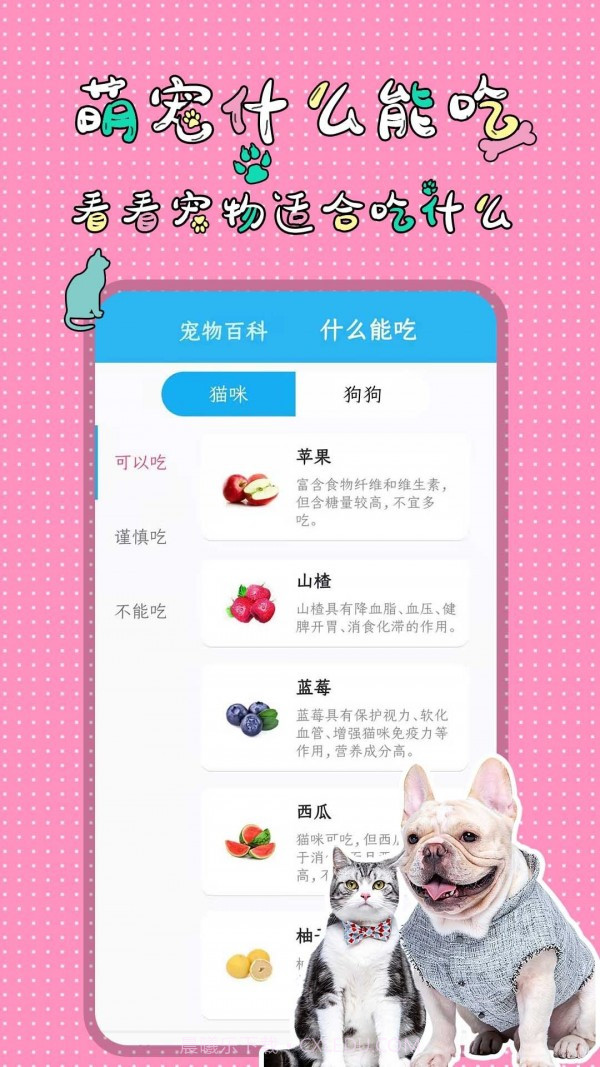 人猫人狗翻译交流器截图4 人猫人狗翻译交流器截图4