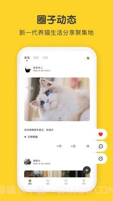尖叫猫截图1 尖叫猫截图1