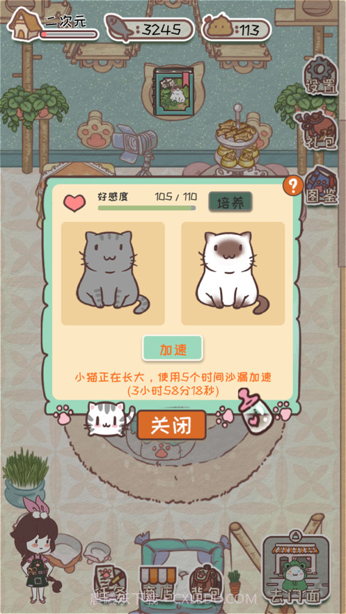 开心猫舍截图4