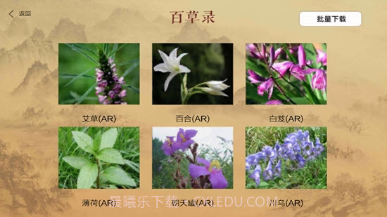 百草录截图1 百草录截图1