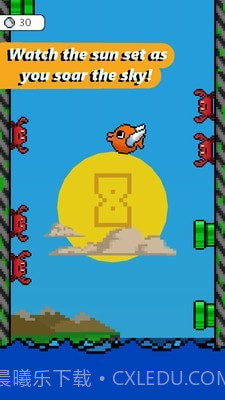 飞扬小鸟截图2 飞扬小鸟截图2