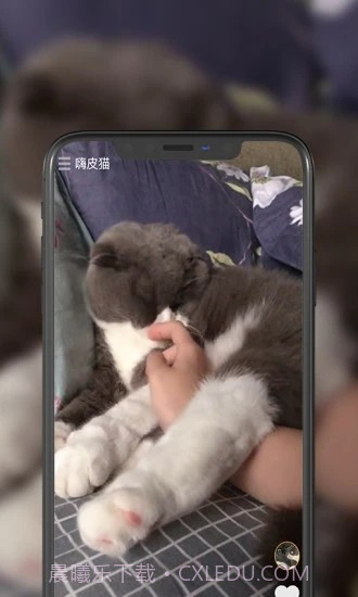 嗨皮猫短视频截图4