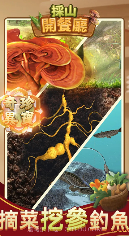 采山开餐厅截图4 采山开餐厅截图4