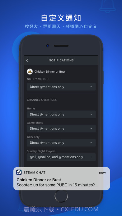 Steam Chat截图3 Steam Chat截图3