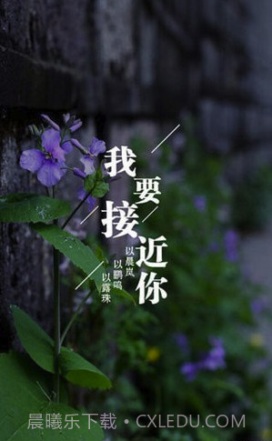 为你写诗(为你写诗软件下载)V3.3.9 截图3