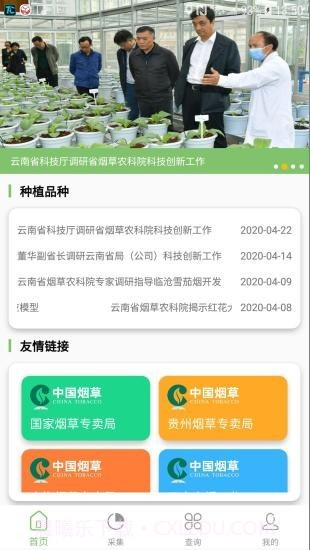 看叶识熟截图1 看叶识熟截图1