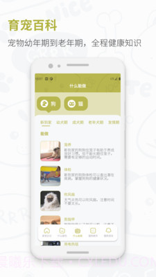 爱宠猫狗翻译器截图3 爱宠猫狗翻译器截图3