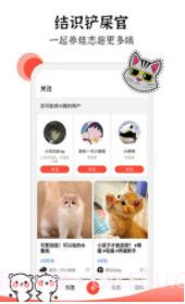 猫猫社截图2 猫猫社截图2