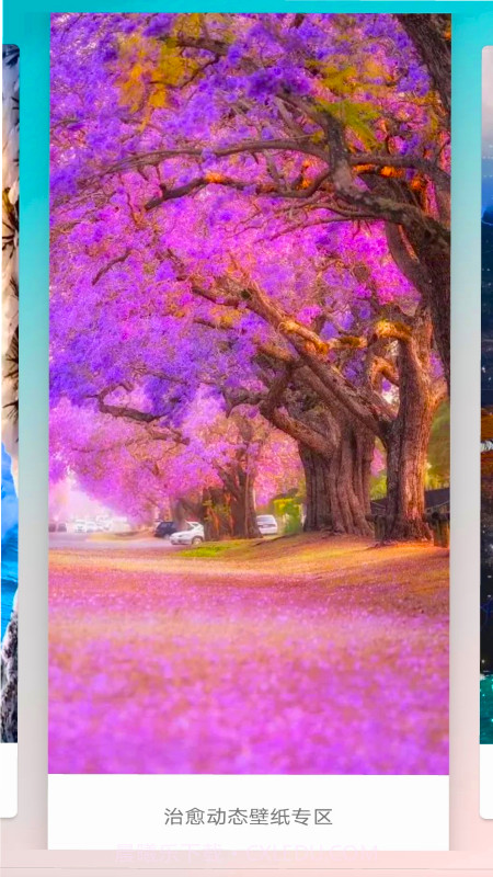 爱动态壁纸截图1