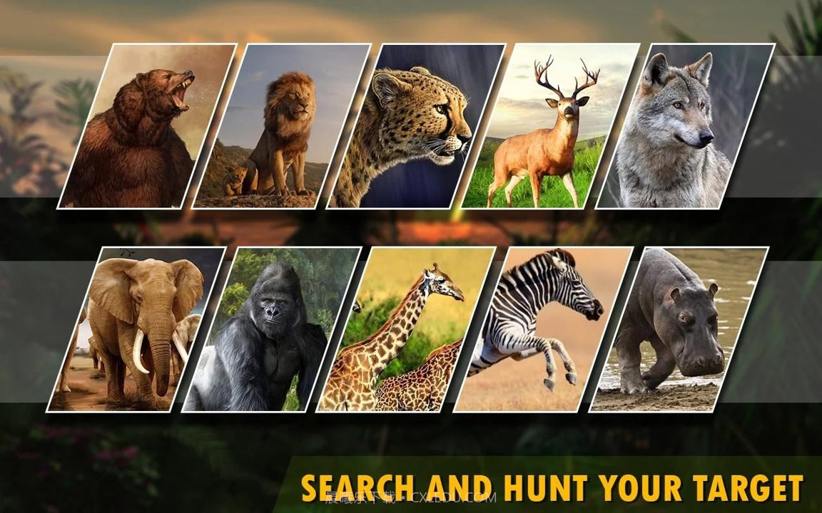动物猎人2020手游截图3 动物猎人2020手游截图3