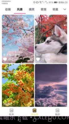 欢喜来电铃声截图3